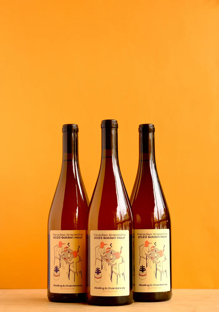 Paradise Grapevine Golden Hour